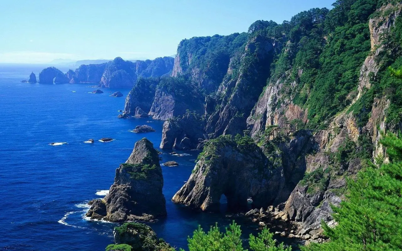 高效环保高端